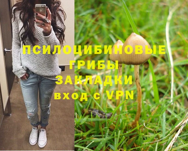 мяу мяу кристалл Арсеньев