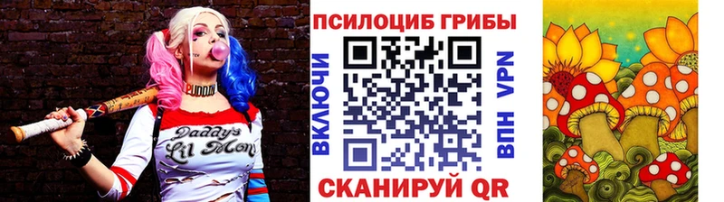 Галлюциногенные грибы Psilocybe  Палласовка 